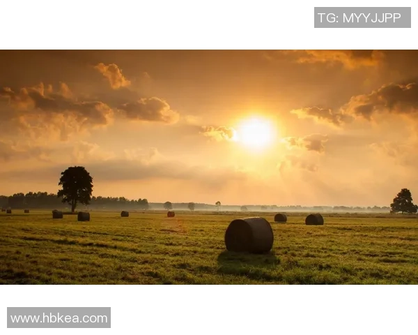 班得瑞与乌林济之星的音乐之旅谁将引领心灵的共鸣与感动